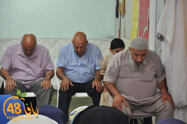 mohamed elfatekh3 (5).JPG